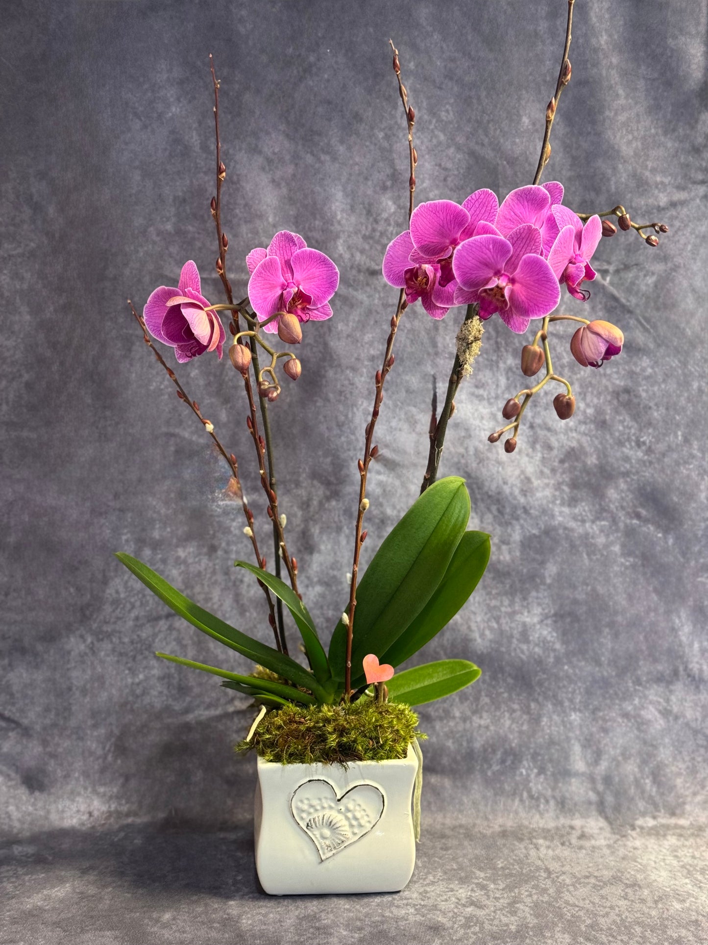 Orchid Planter