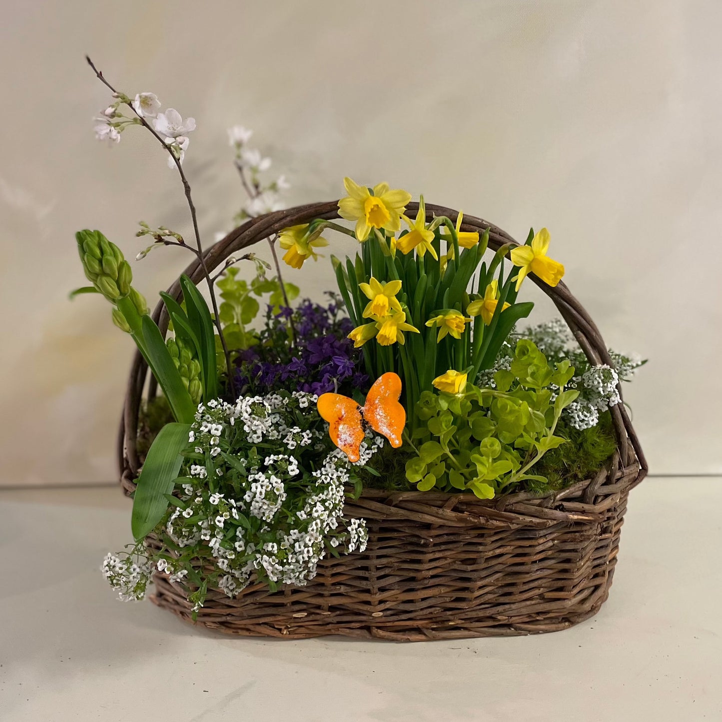 Pot et Fleur (2 Options)