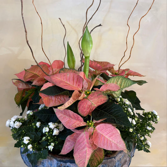 A holiday-themed Amaryllis planter with pink leaves and seasonal flowers, arranged in a decorative container.