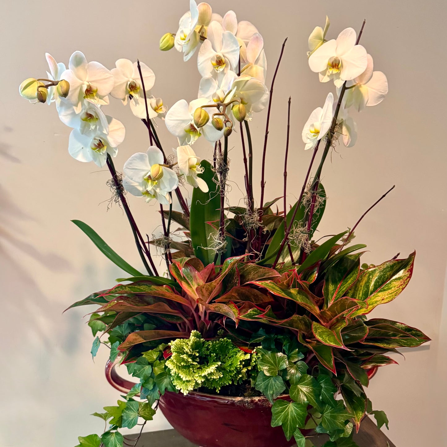 Premium Orchid Planter