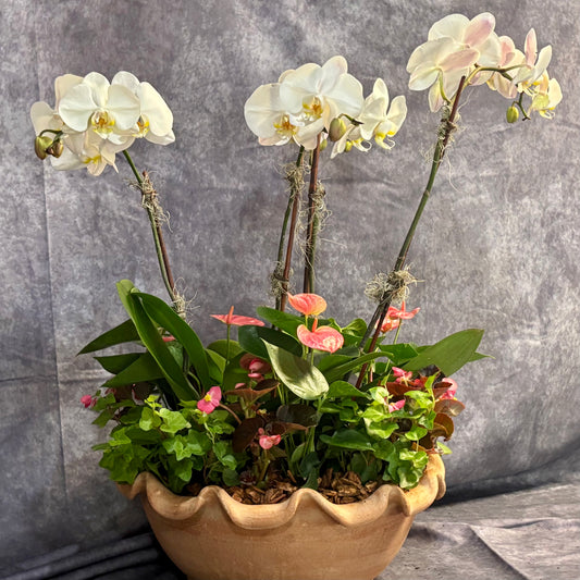 Winter / Holiday Orchid Planter - two sizes