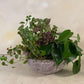 Potted arrangment in handmade concrete planter from Mexico