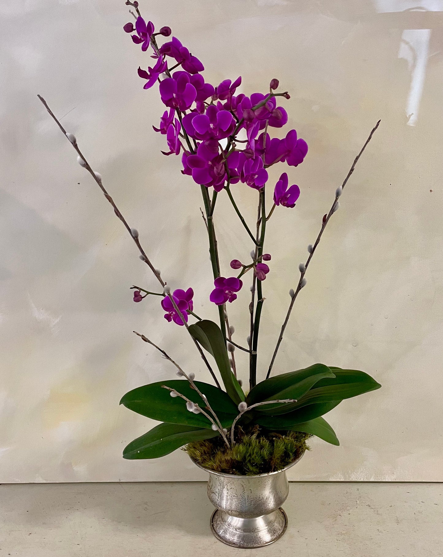 Chesapeake Blooms Orchid Planter